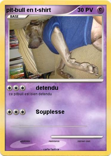 Pokemon pit-bull en t-shirt