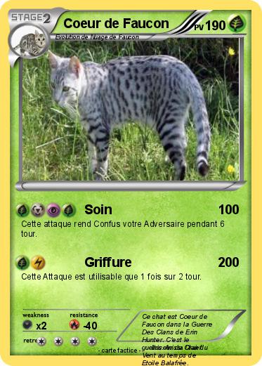 Pokemon Coeur de Faucon