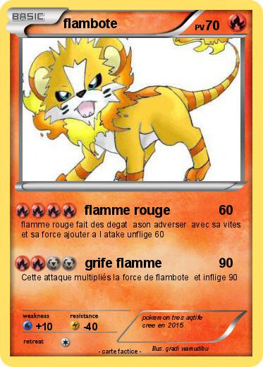Pokemon flambote