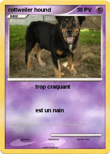 Pokemon rottweiler hound
