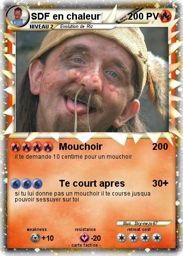 Pokemon SDF en chaleur