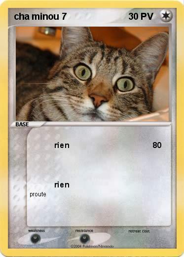 Pokemon cha minou 7
