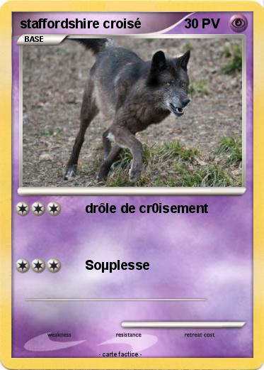 Pokemon staffordshire croisé