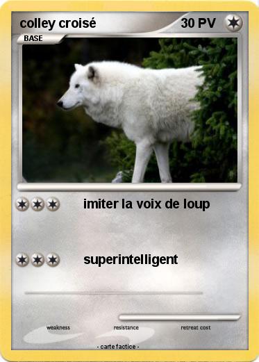 Pokemon colley croisé