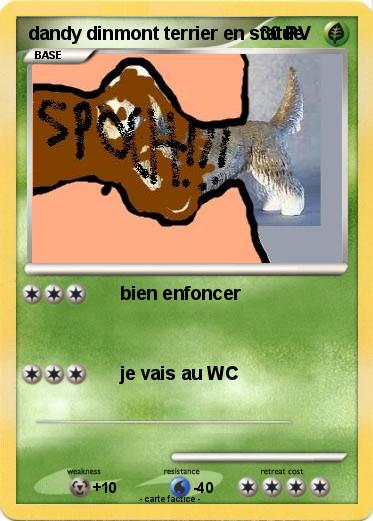 Pokemon dandy dinmont terrier en statue