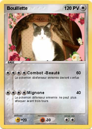 Pokemon Bouillette