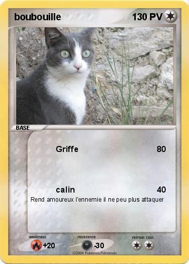Pokemon boubouille