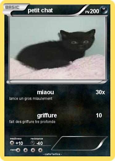 Pokemon petit chat