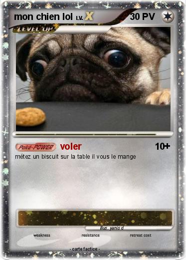 Pokemon mon chien lol
