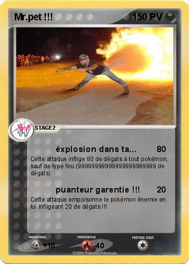Pokemon Mr.pet !!!