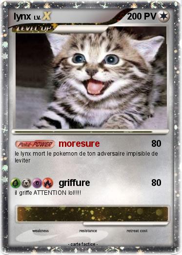 Pokemon lynx