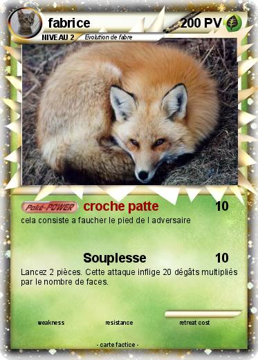 Pokemon fabrice