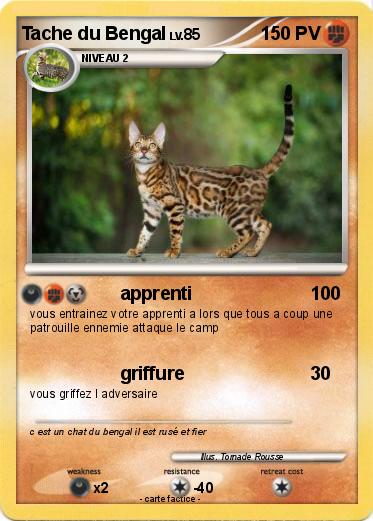 Pokemon Tache du Bengal