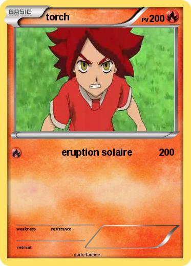 Pokemon torch