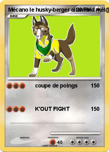 Pokemon Mécano le husky-berger allemand mél@ngé