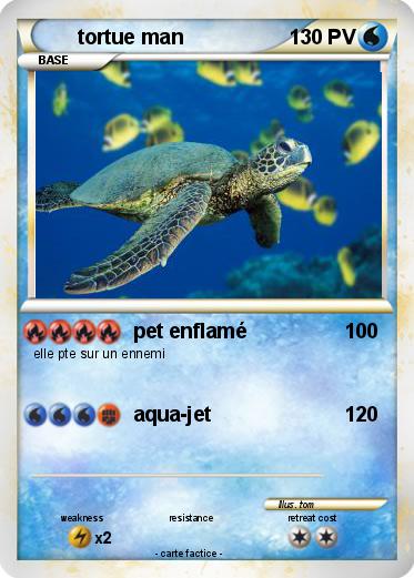 Pokemon tortue man