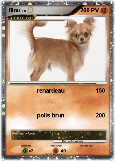Pokemon filou