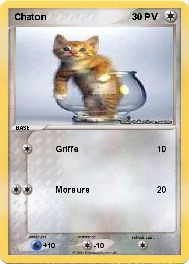 Pokemon Chaton