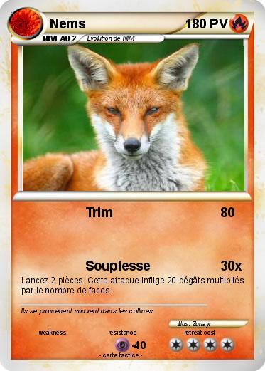 Pokemon Nems
