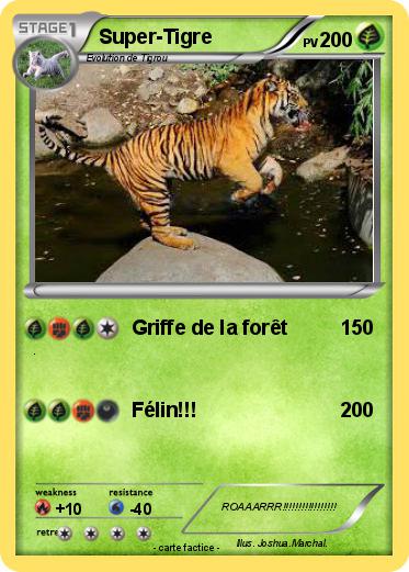 Pokemon Super-Tigre