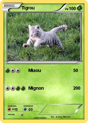 Pokemon Tigrou