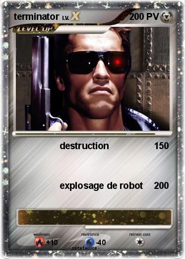 Pokemon terminator