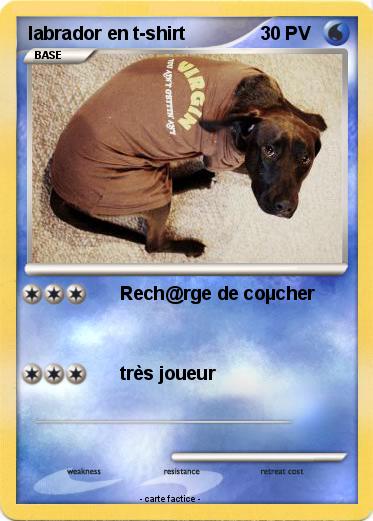 Pokemon labrador en t-shirt
