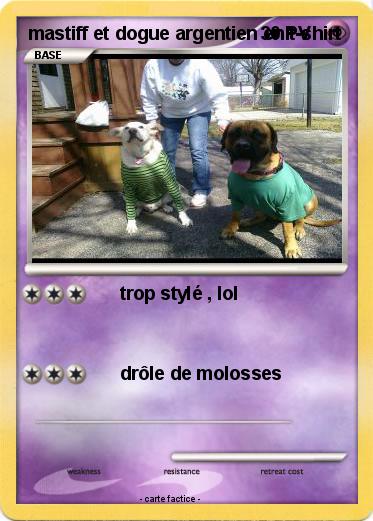 Pokemon mastiff et dogue argentien en t-shirt