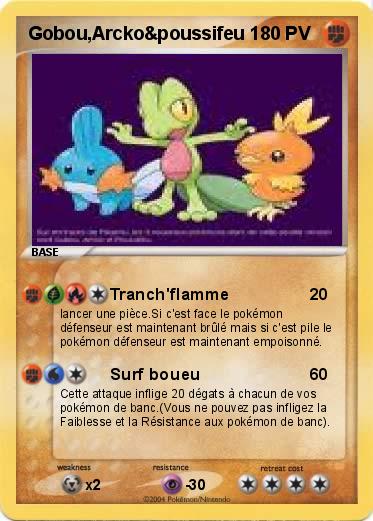 Pokemon Gobou,Arcko&poussifeu 1