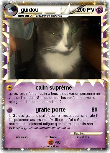 Pokemon guidou