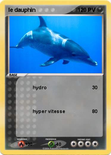 Pokemon le dauphin