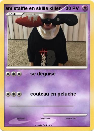 Pokemon am'staffie en skilla killer