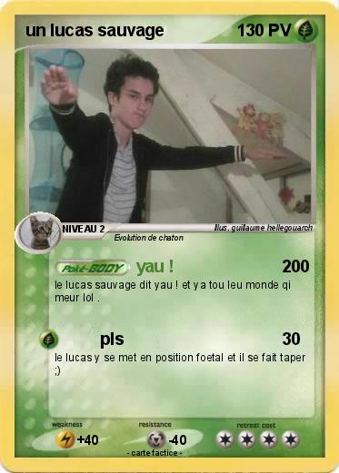 Pokemon un lucas sauvage