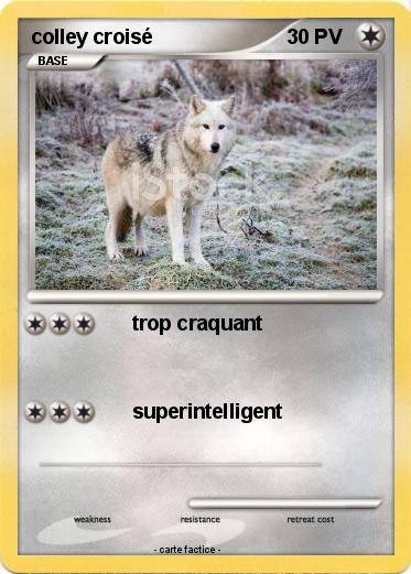 Pokemon colley croisé