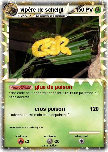 Pokemon vipére de schelgl