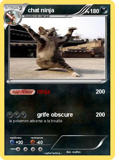 Pokemon chat ninja