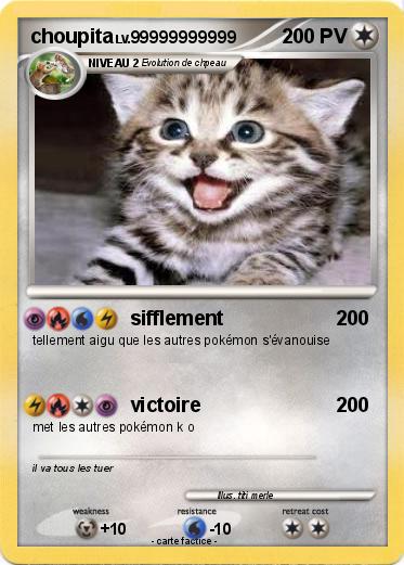 Pokemon choupita
