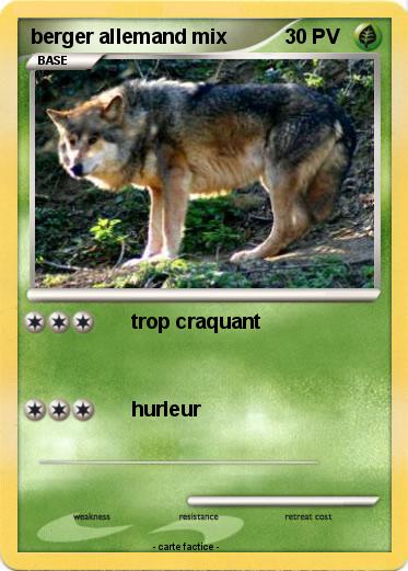 Pokemon berger allemand mix
