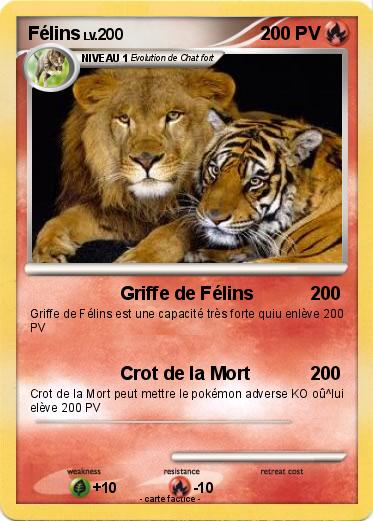 Pokemon Félins