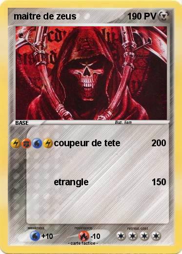 Pokemon maitre de zeus
