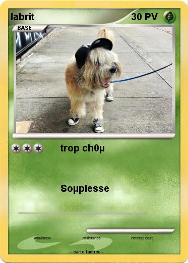 Pokemon labrit