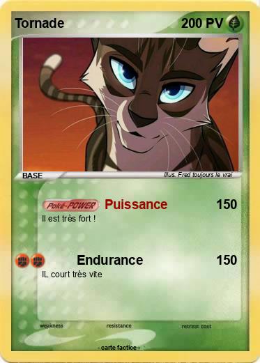 Pokemon Tornade
