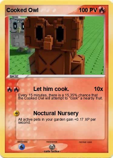Pokemon Cooked Owl