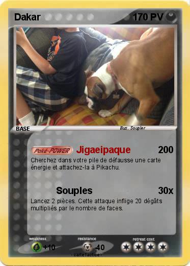 Pokemon Dakar