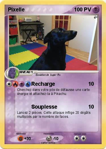 Pokemon Pixelle
