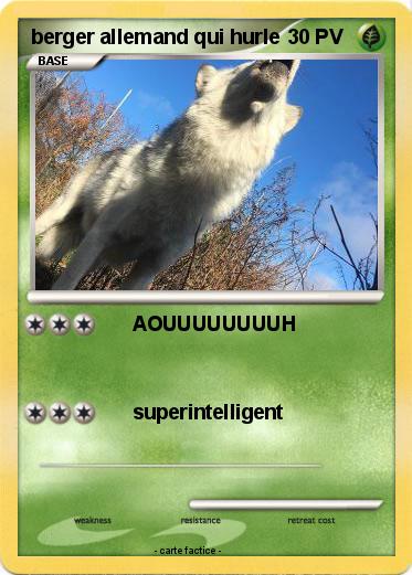 Pokemon berger allemand qui hurle