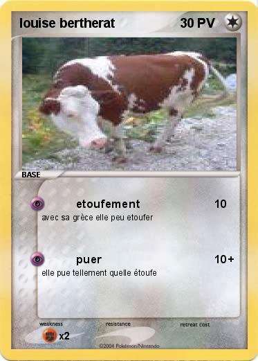 Pokemon louise bertherat                                           
