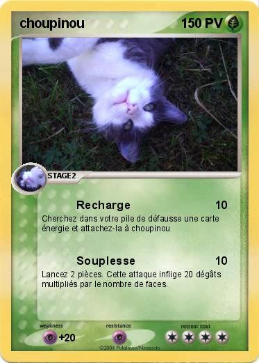 Pokemon choupinou
