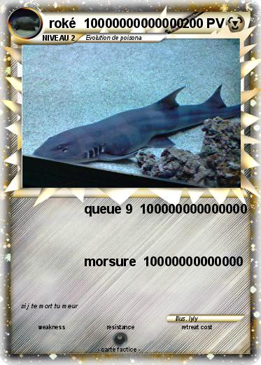 Pokemon roké  10000000000000