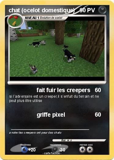 Pokemon chat (ocelot domestique)